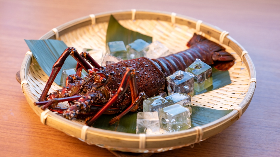 【新春限定】絶景温泉と豪華BBQを楽しむ贅沢グランピング　伊勢海老おひとり様１尾付♪