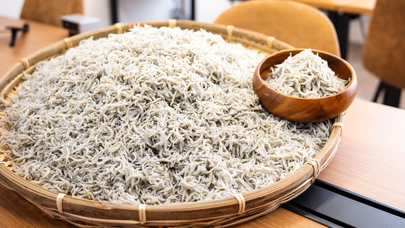 【1泊2食】海満喫・釜揚げシラス盛り放題！アクアマリンふくしま水族館チケット付　海づくしをお楽しみ♪