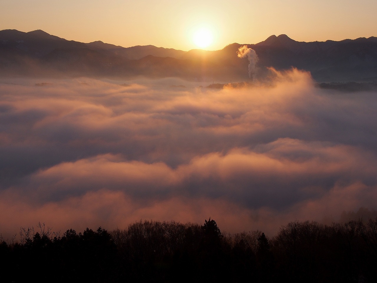 5/2〜5/6 開催「4泊5日ファスティング」限定8室デトックス宿76727円〜(税込84400円〜