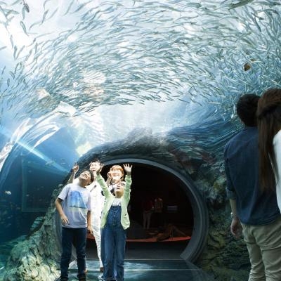 【うみがたり入場券付き】　今年の夏は水族館を堪能！大人も子供も楽しめるライムリゾートの2食付