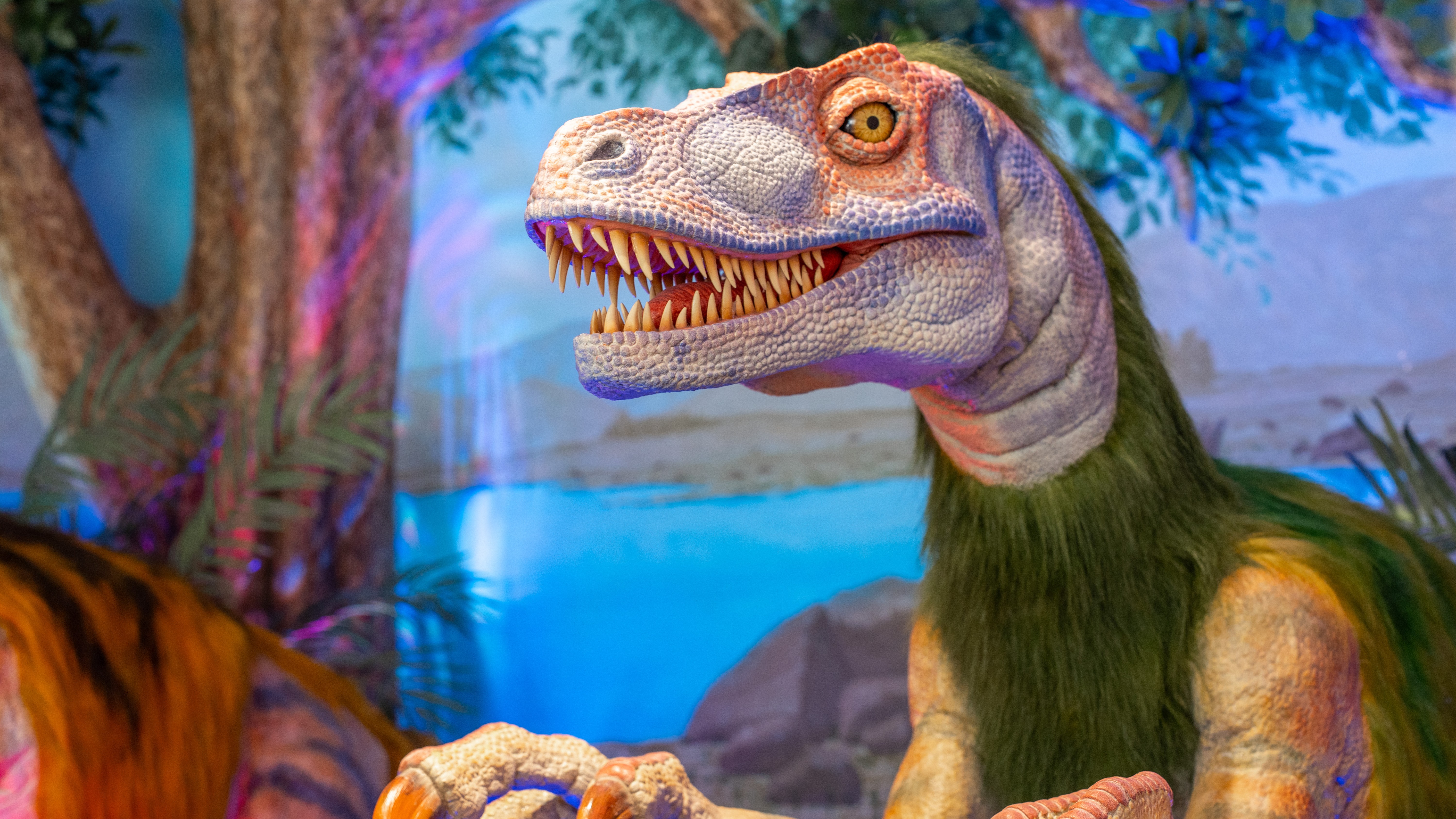 チェックインカウンター