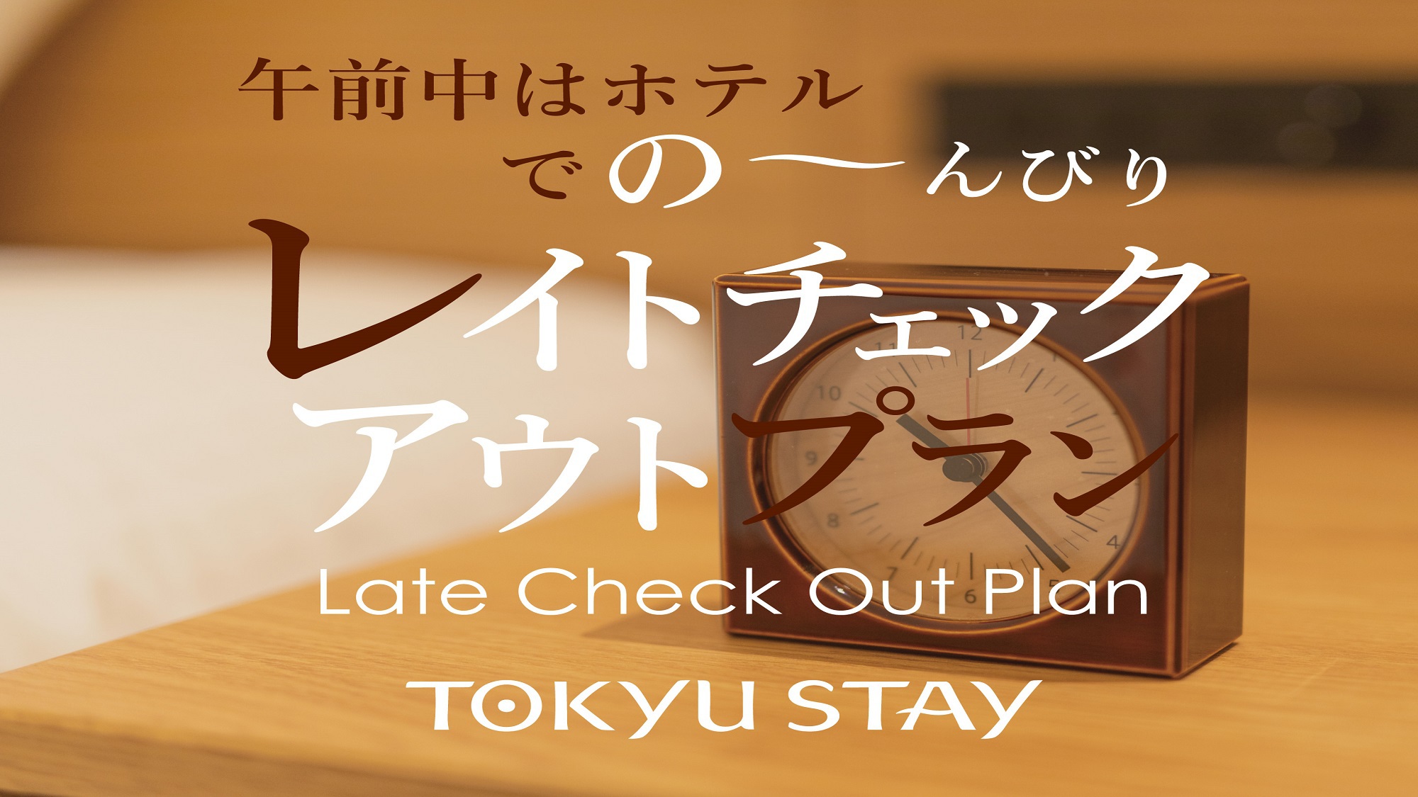 【レイトチェックアウト】13時までのんびりご滞在♪【1名】(素泊)