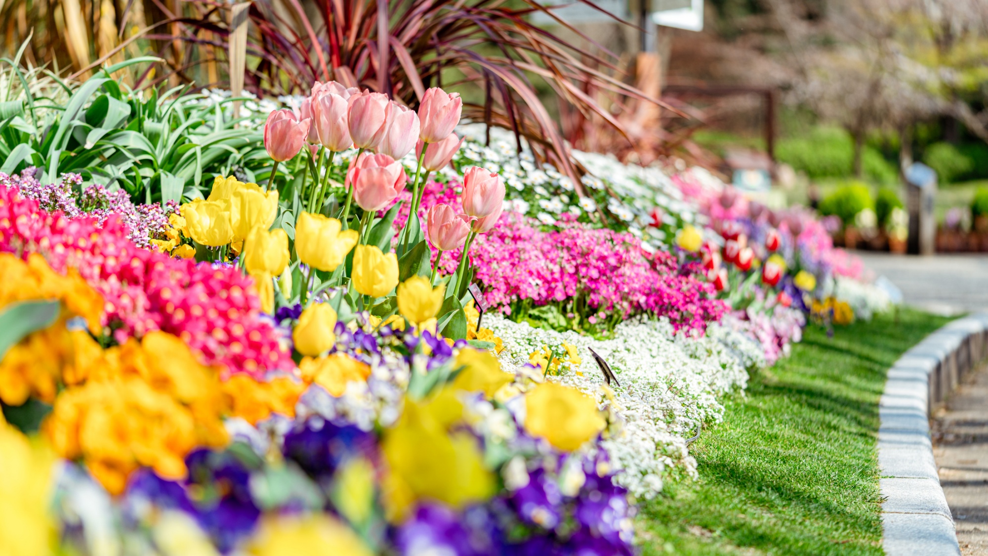 周辺観光/【福岡市植物園】季節の花が彩り約2600万種類19万本の様々な植物を展示
