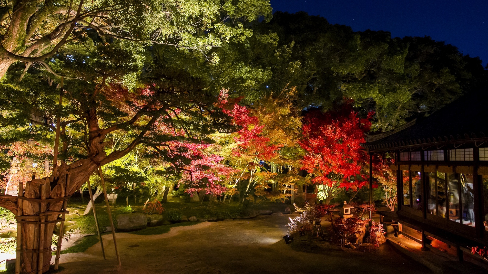 周辺観光/【承天寺（秋）】うどん、蕎麦、饅頭、博多祇園山笠の発祥の地
