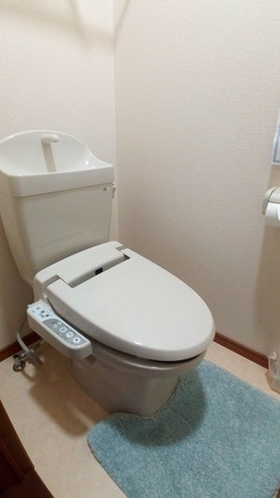 Stylet toilet room for room 202 & 302