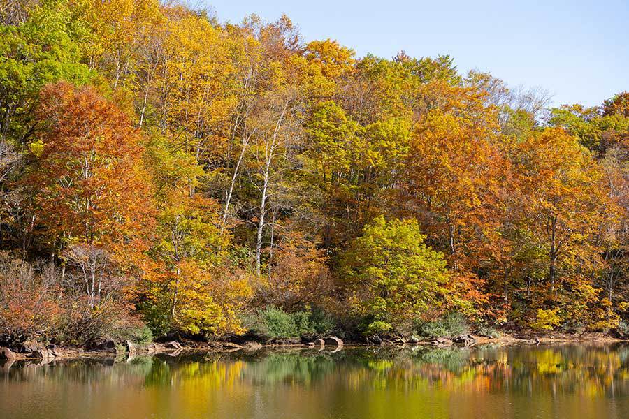 【素泊り】シンプルステイプラン★大浴場付きで疲れをリフレッシュ♪（無料大駐車場完備）