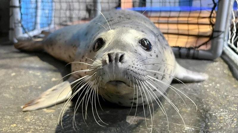 【ホテルから車で７分】上越市立水族博物館「うみがたり」チケット付プラン♪