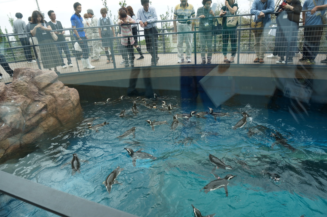 【ホテルから車で７分】上越市立水族博物館「うみがたり」チケット付プラン♪