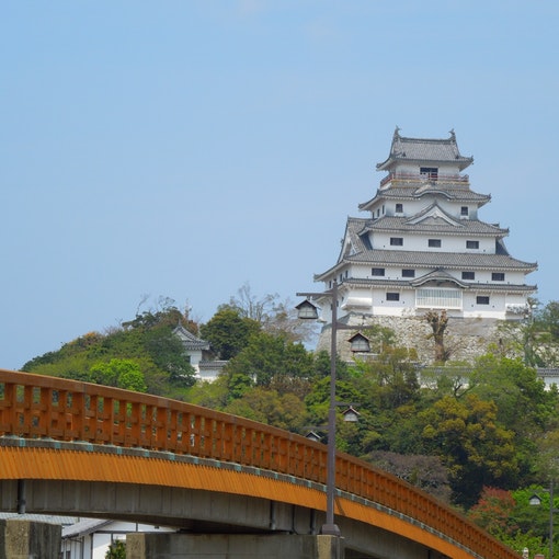 観光案内　唐津城