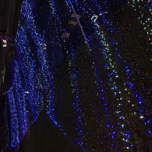 冬のイルミネーション