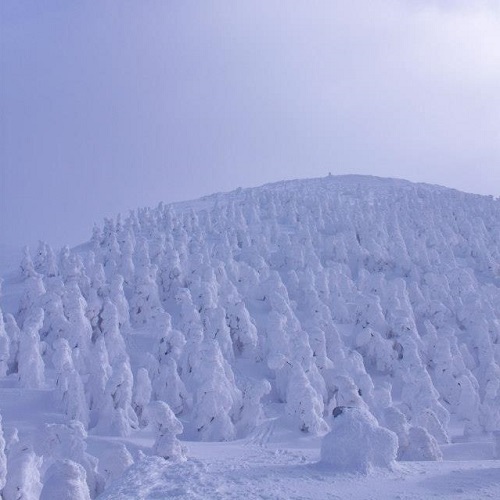 山形グランドホテル - 写真 155