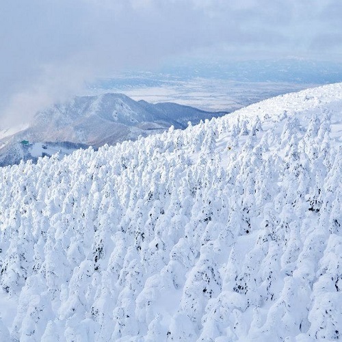 山形グランドホテル - 写真 157