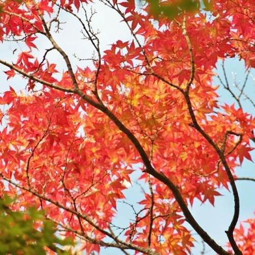 山形グランドホテル - 写真 128