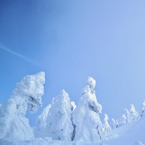 山形グランドホテル - 写真 156