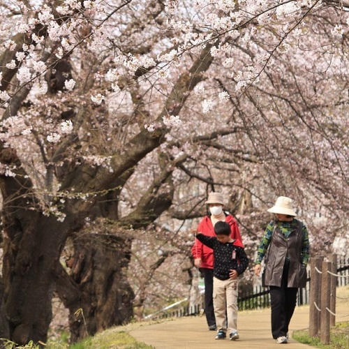 山形グランドホテル - 写真 131