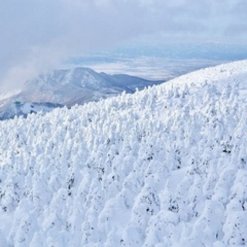 冬：蔵王山の樹氷（1月）04