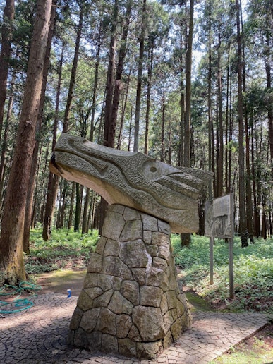 森林公園 龍のオブジェ 口から水を出す