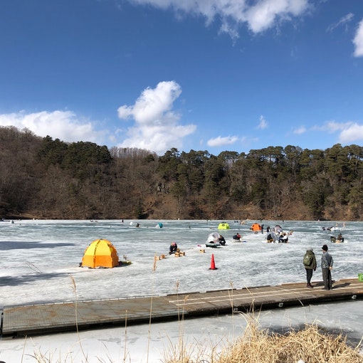 長野県南佐久郡小海町の松原湖は湖全てが凍りつきワカサギ釣りで賑わいます