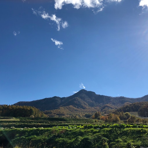 天狗山の向こうは、高原野菜で有名な「川上村」