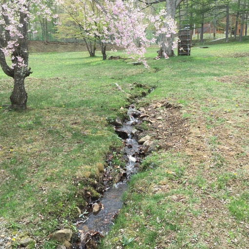 天然の湧水の小川