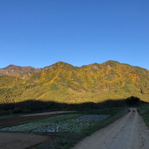 峰雄山(みねおやま)が、出迎えてくれます