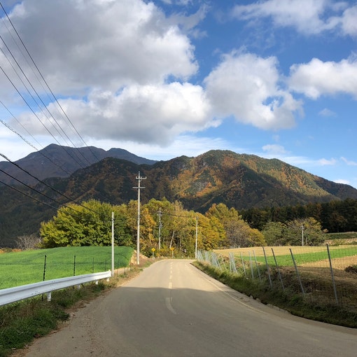 紅葉した峰雄山を見ながら散歩も心地良いです