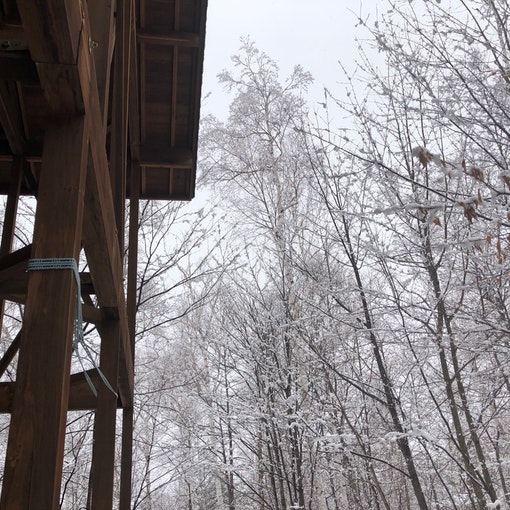 山荘と雪のコントラストが美しいです