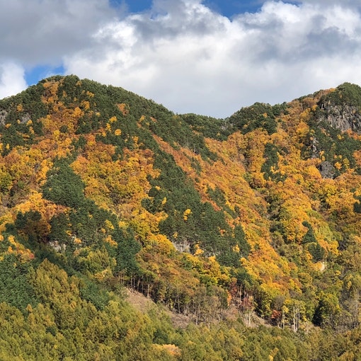 紅葉していく山の稜線