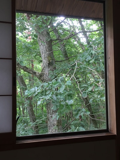 窓の外はアルプスの森