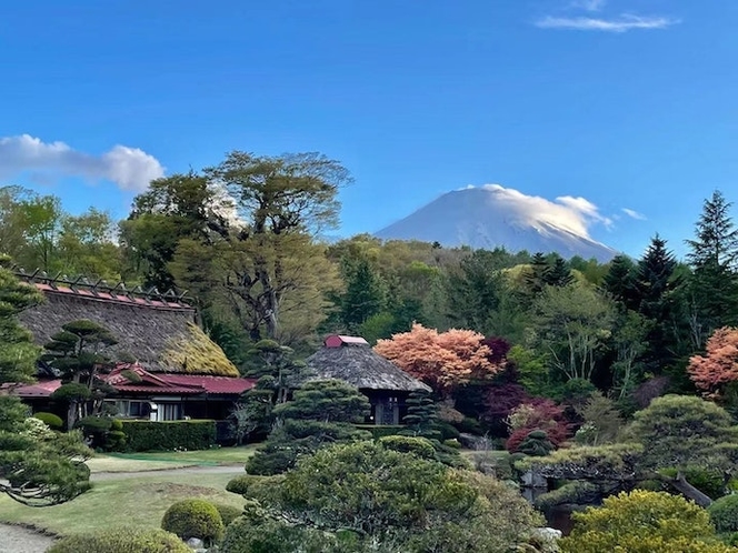 目の前に日本庭園風景の公園があります