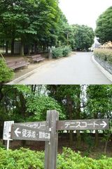 木場公園。当館より近くです。東京都現代美術館も公園より至近です。
