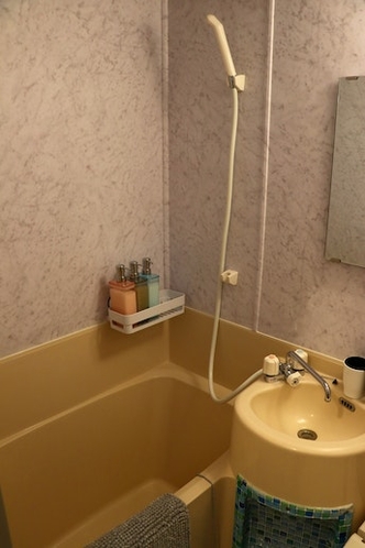 Japanese Style Bathtub