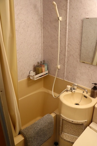 Japanese Style Bathtub