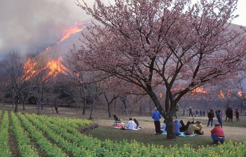 大室山山焼き