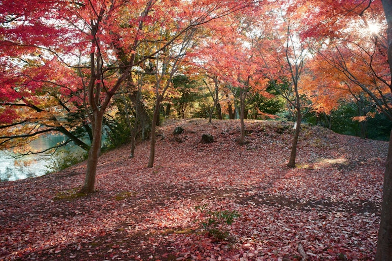 一碧湖の紅葉