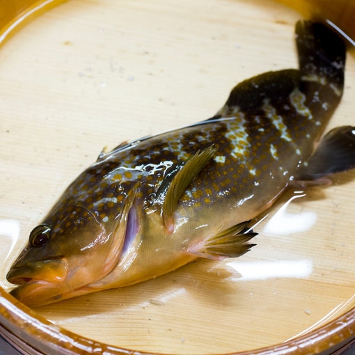 海宿 千年松 vacation stay提供 写真 動画 楽天トラベル 海宿 千年松 vacation stay提供 写真 動画 楽天トラベル