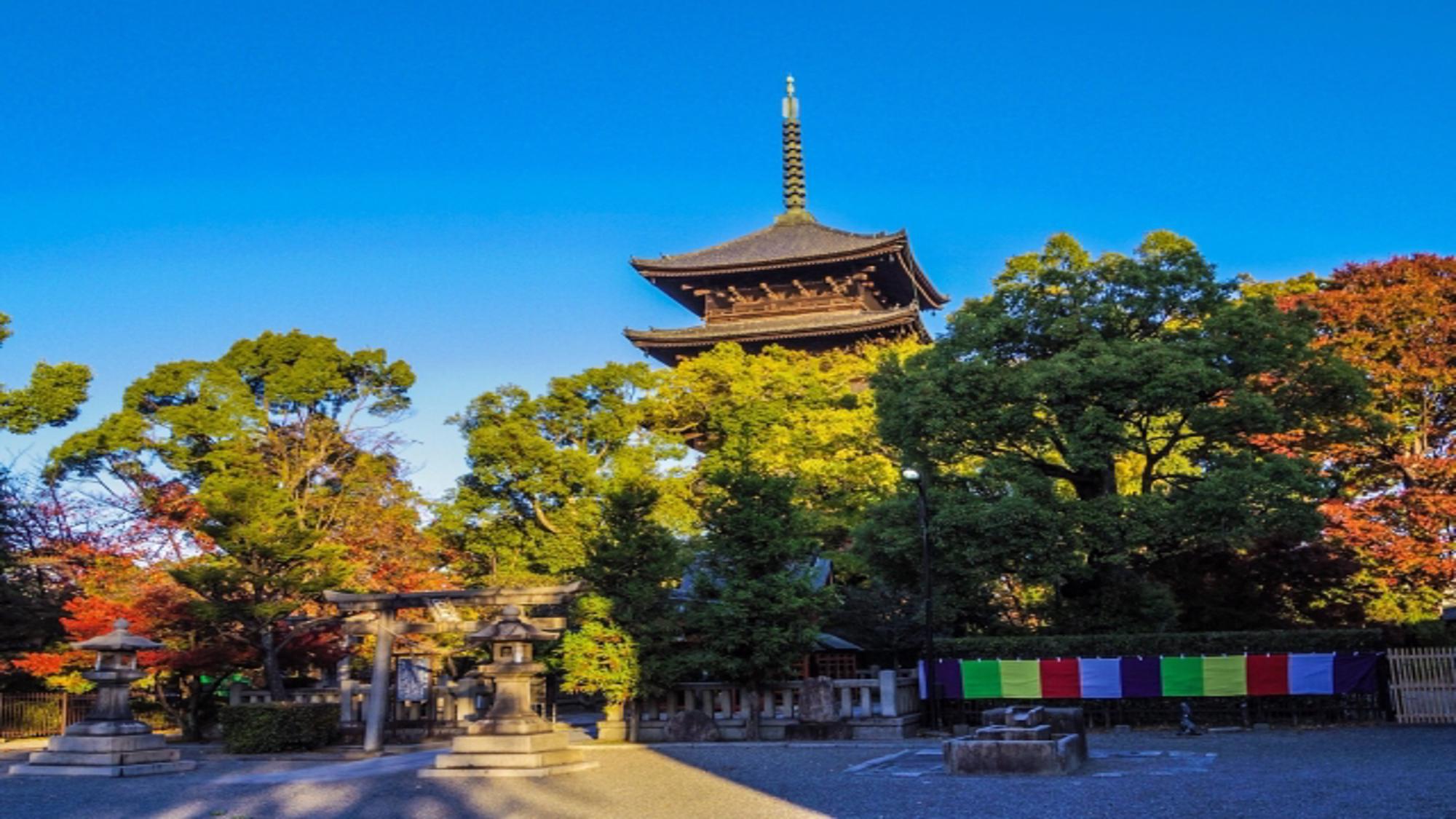 【周辺観光/イメージ】車で8分、日本最高の木造の塔である東寺