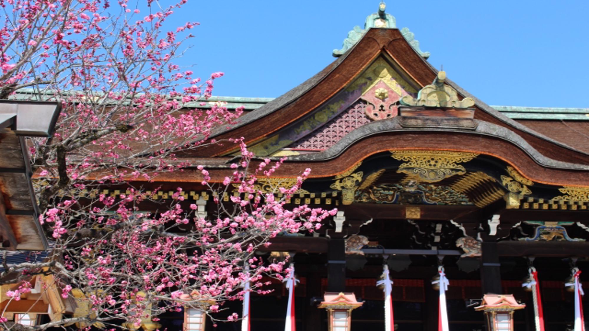 【周辺観光/イメージ】学問の神様を祀る北野天満宮