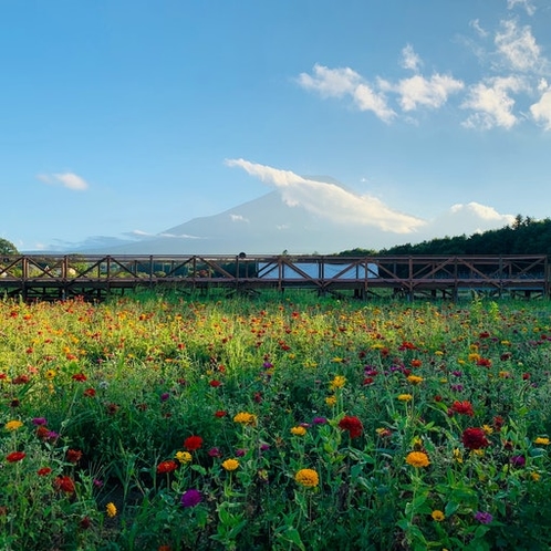 花の都公園