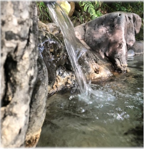 くみ上げた源泉をそのまま湯舟に注ぐ昔ながらの方法にこだわっています