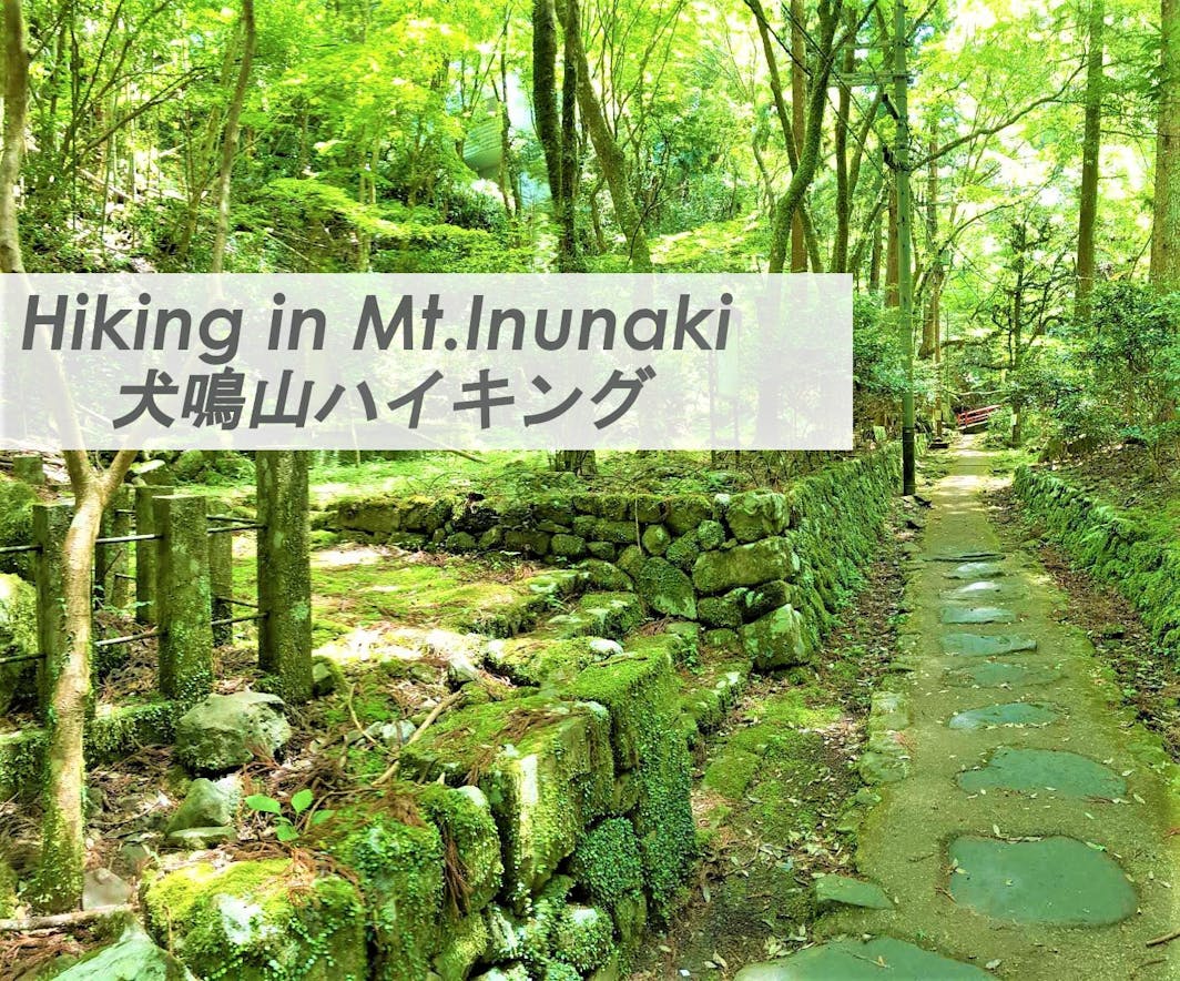 美しいハイキングコースや七宝龍寺のある犬鳴山。犬鳴温泉もあり、いくつかの旅館ではお食事と温泉の...