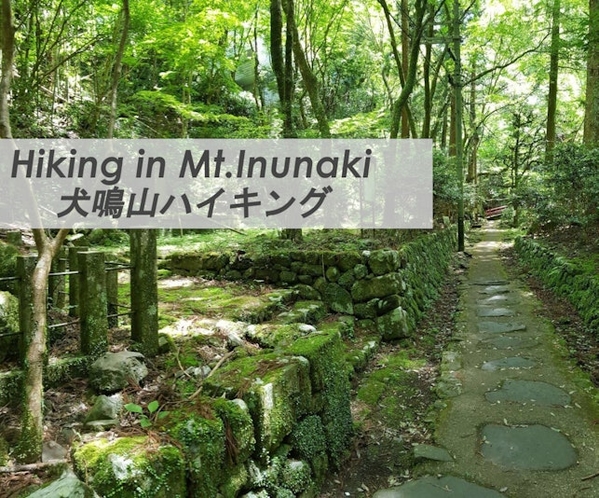 美しいハイキングコースや七宝龍寺のある犬鳴山。犬鳴温泉もあり、いくつかの旅館ではお食事と温泉のセット