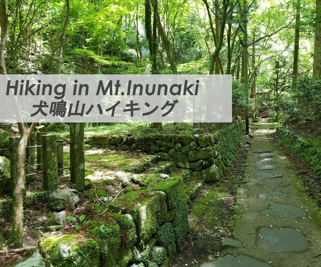 美しいハイキングコースや七宝龍寺のある犬鳴山。犬鳴温泉もあり、いくつかの旅館ではお食事と温泉の...