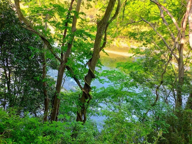 青山緑水