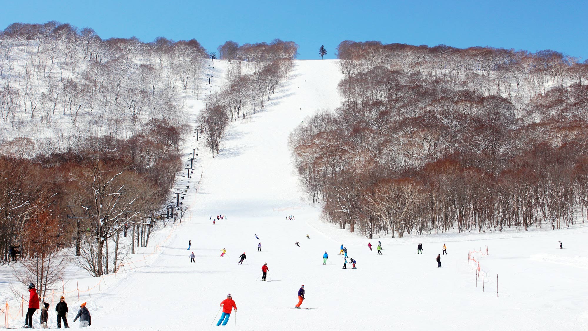 【下倉スキー場】天気のいい日に青と白の世界で楽しむスキーは格別です。