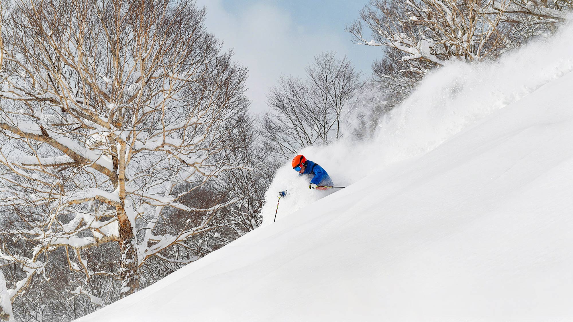 【下倉スキー場】上質なパウダースノーで冬のアクティビティをお楽しみください。