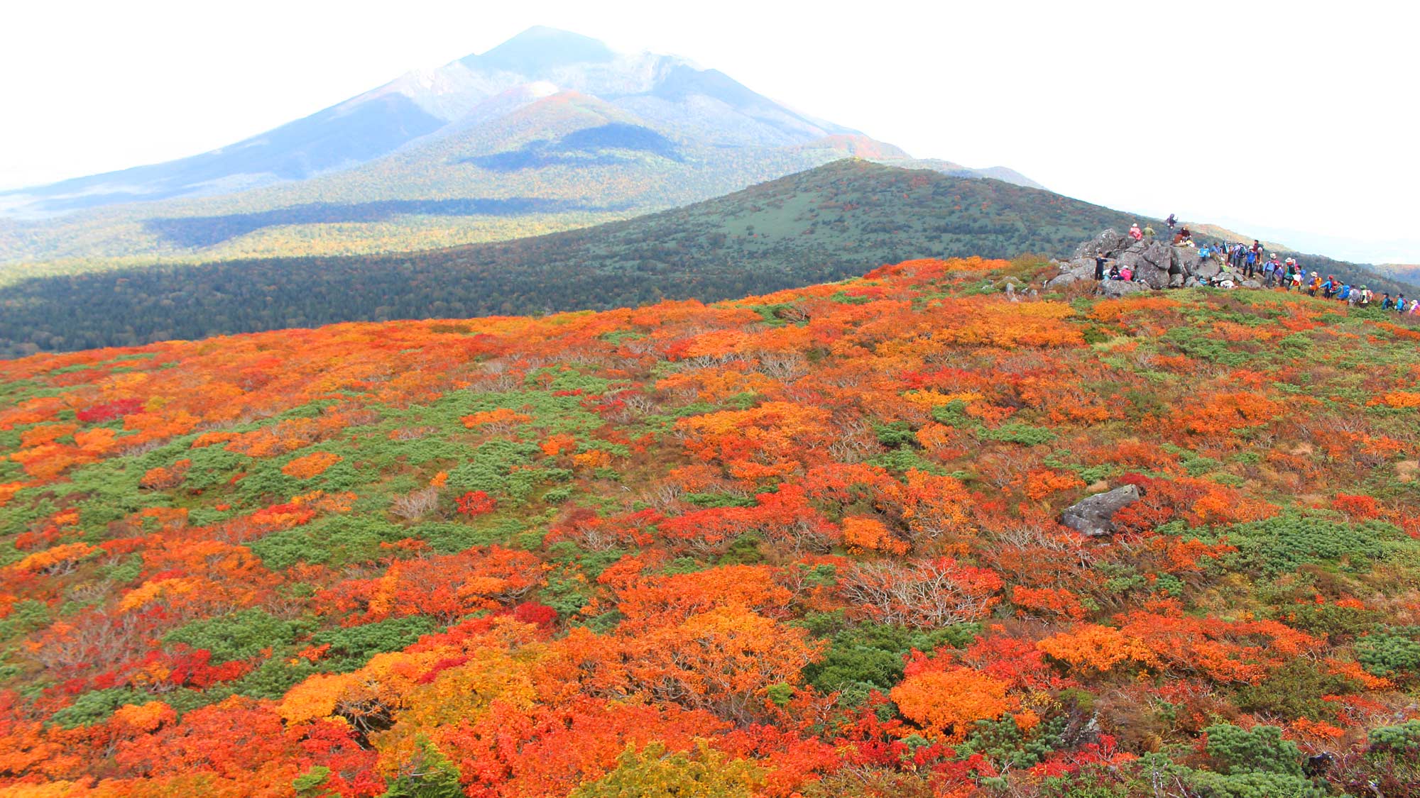 【三ツ石山】本州で一番早いと言われる紅葉をお楽しみください。
