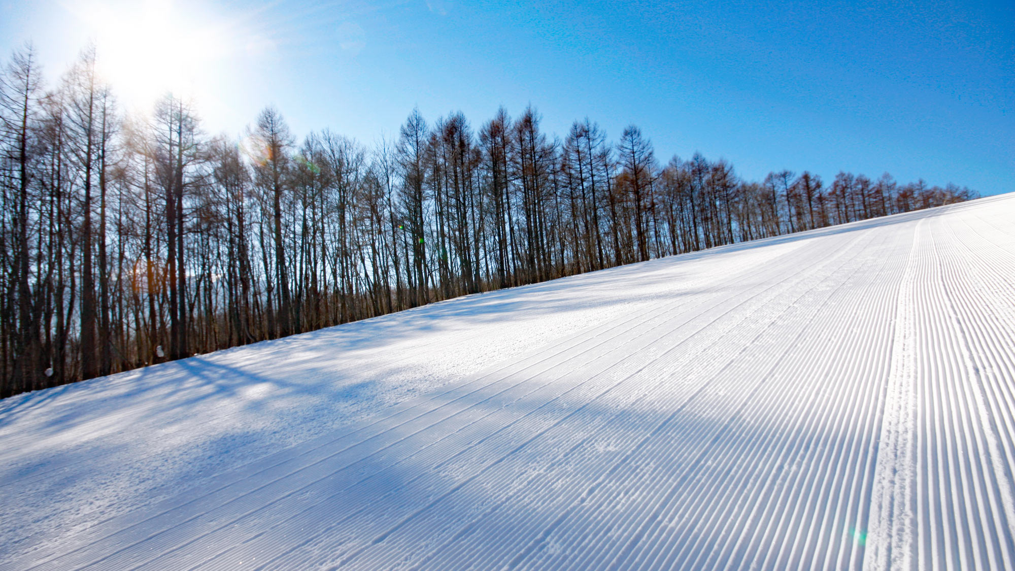 【下倉スキー場】中上級者向けの下倉スキー場は、SAJ認定コースもある本格的なゲレンデです。