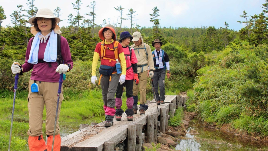 【八幡平頂上トレッキング】八幡平の夏といえばトレッキング！山歩きをお楽しみください。