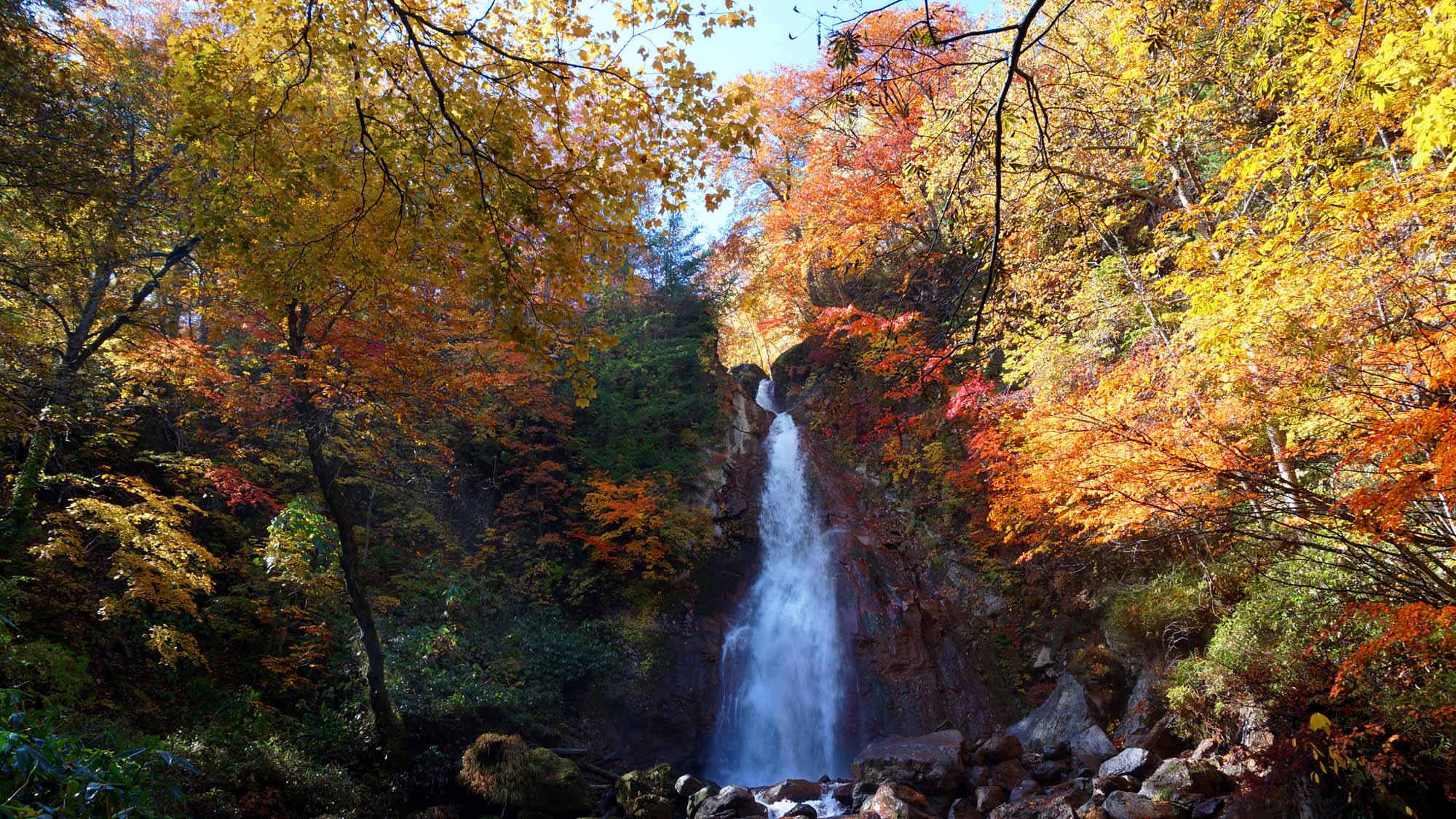 【七滝（秋）】紅や黄金に染まる木々と勢いよく水しぶきを上げる七滝が、見事なコントラスト！